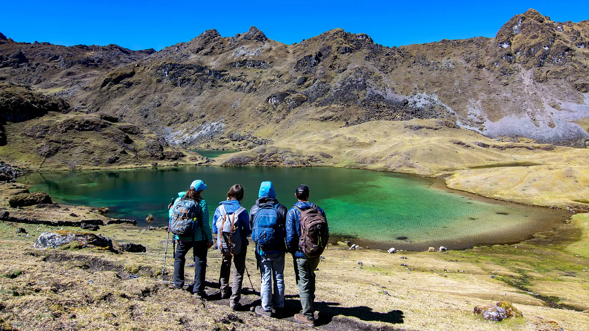 caminata Lares Trek