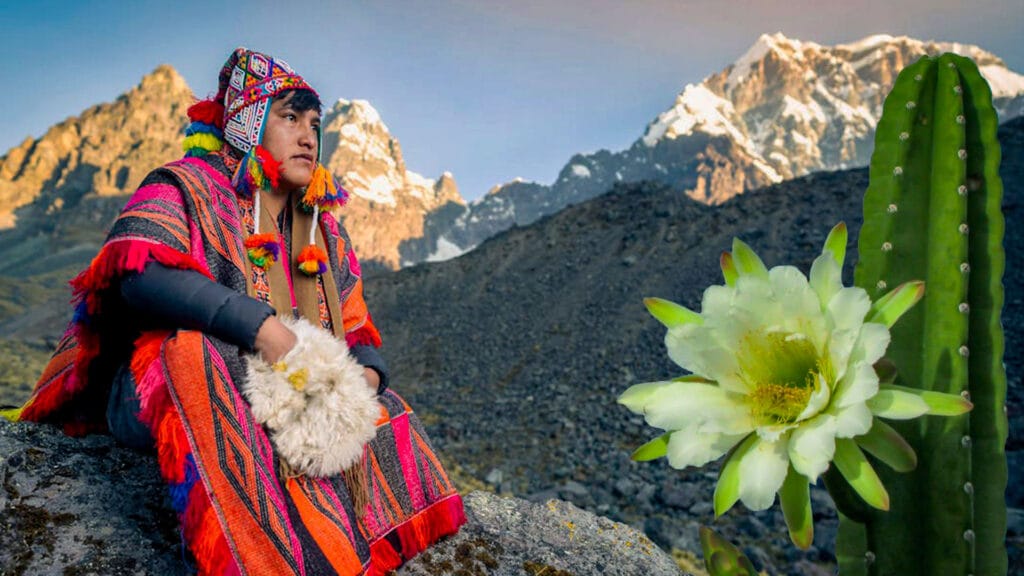 San Pedro Wachuma Ceremony