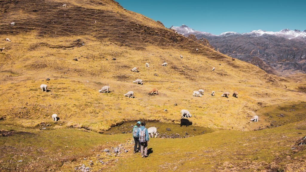 Spiritual Lares Trek