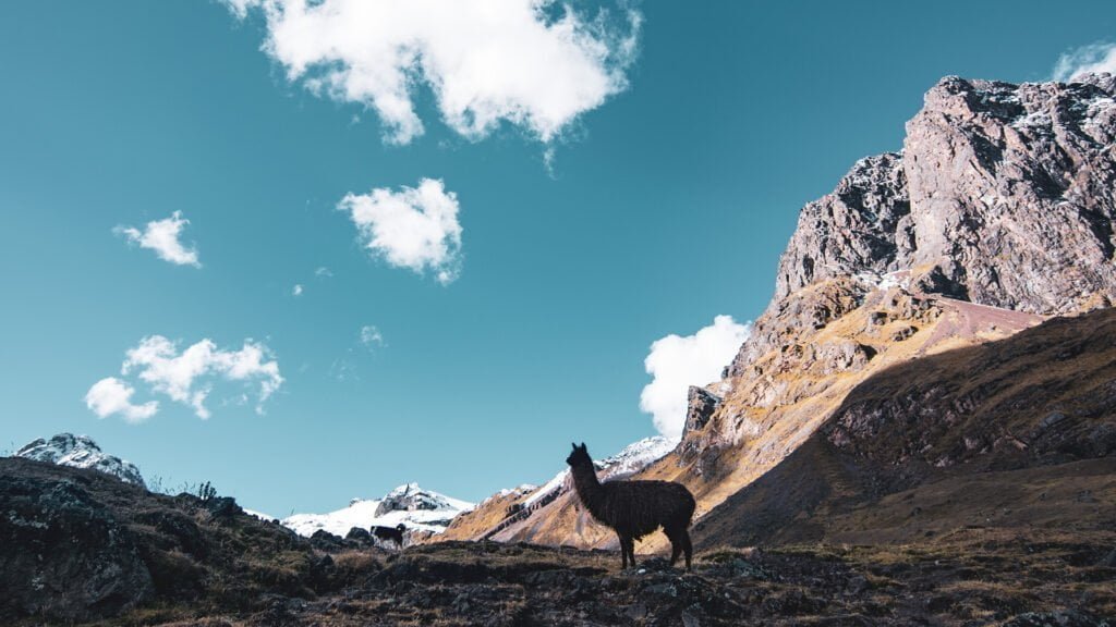 lares trek 4 days