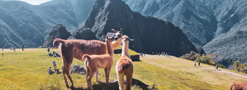 Machu Picchu Tour By Train