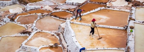 Sacred Valley Salt Mines Tour