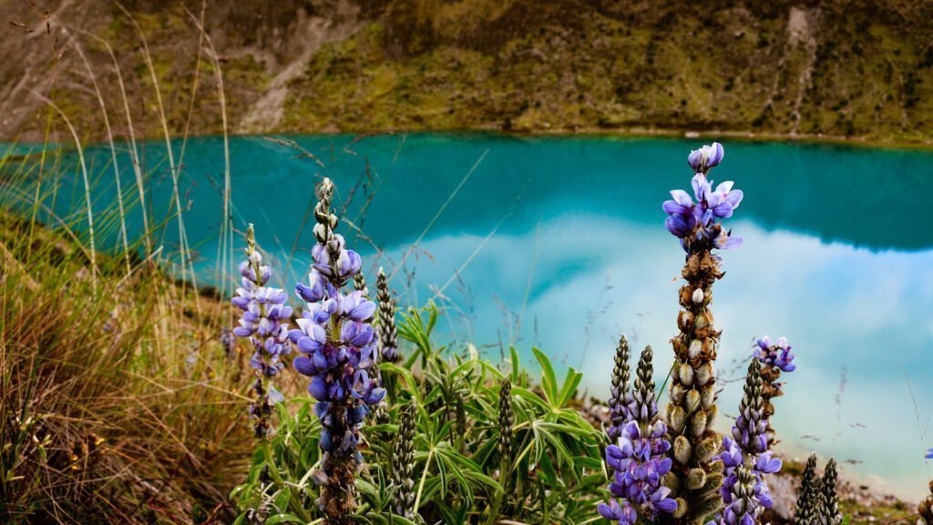 Salkantay Trek Peru