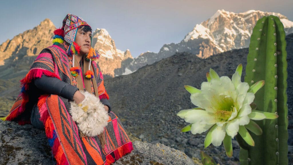 San Pedro Wachuma Ceremony