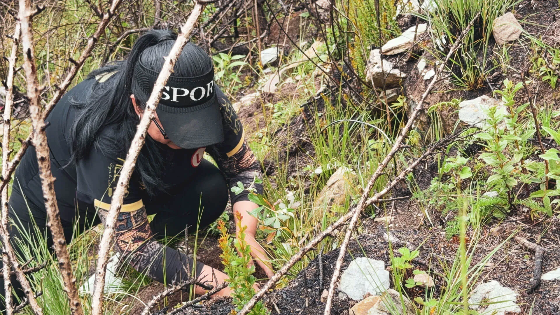 Campaña de Reforestación Restaurando la Naturaleza 2024