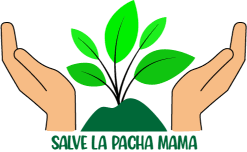 Campaña de Reforestación 