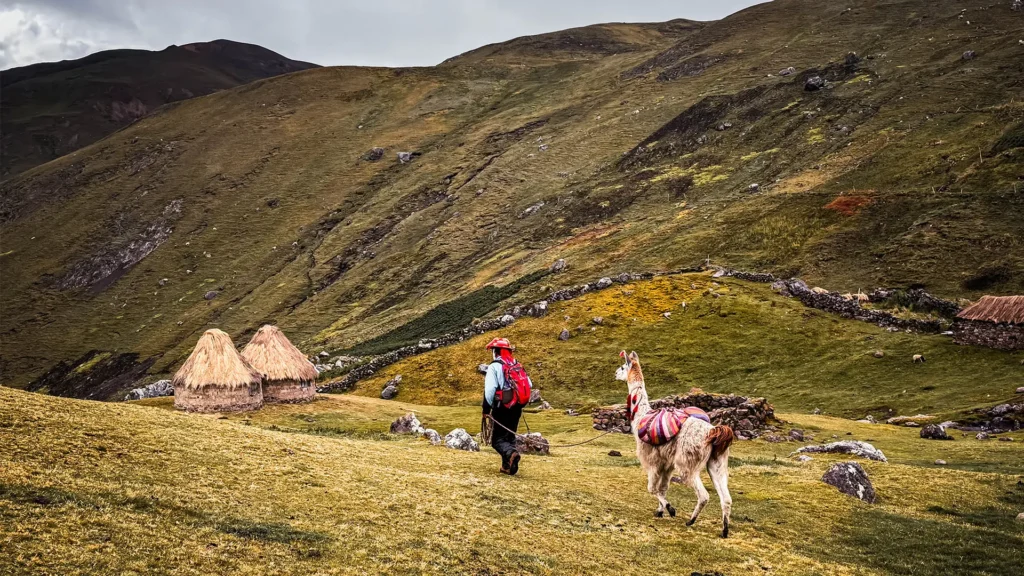 Lares Homestay Trek + Machu Picchu